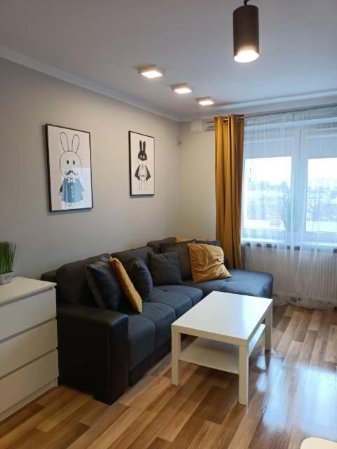 Family & Business Elegant Apartments Rynek Centrum Downtown - 2 Bedroom, Balcony, Parking キェルツェ エクステリア 写真
