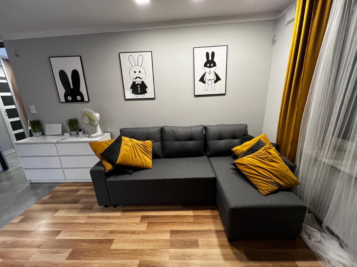 Family & Business Elegant Apartments Rynek Centrum Downtown - 2 Bedroom, Balcony, Parking キェルツェ エクステリア 写真