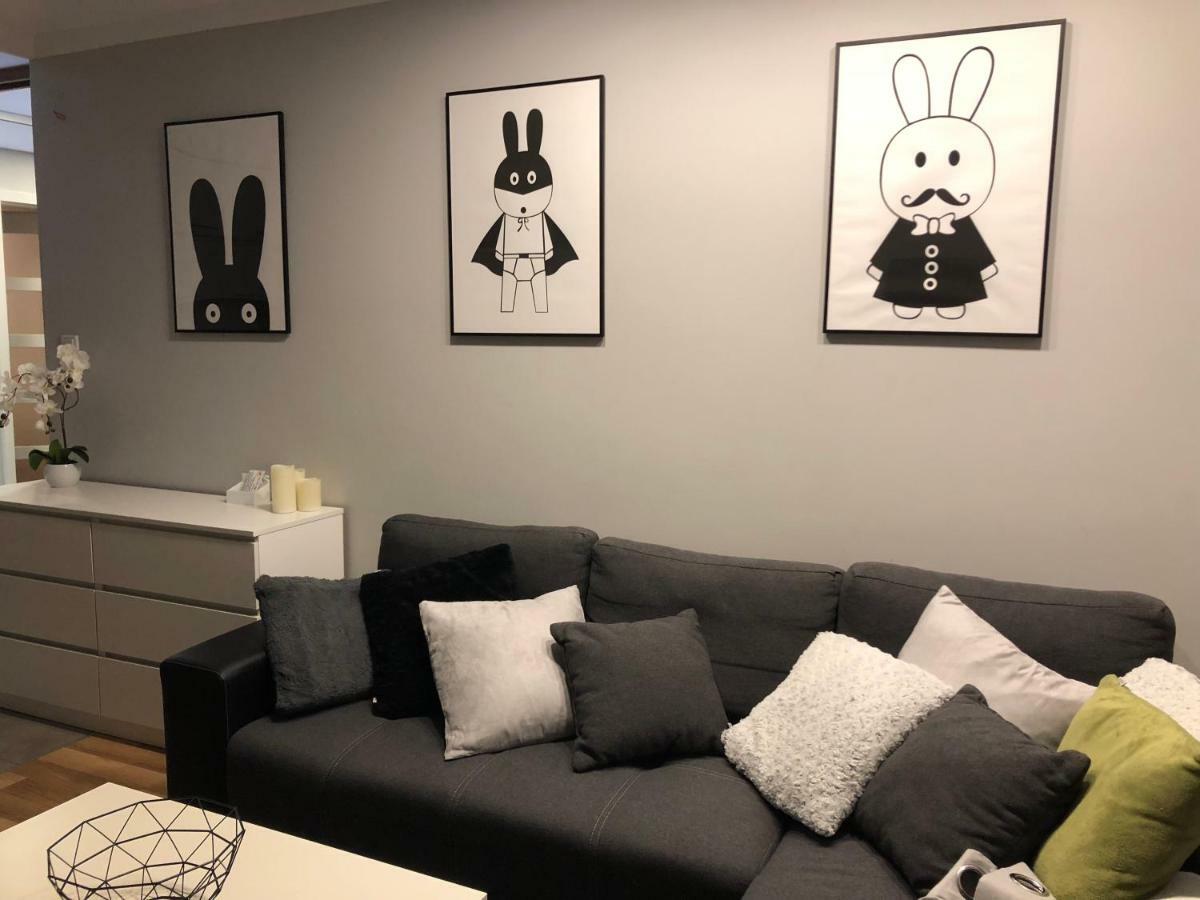Family & Business Elegant Apartments Rynek Centrum Downtown - 2 Bedroom, Balcony, Parking キェルツェ エクステリア 写真